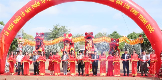 Đắk Lăk:  Xuất khẩu lô tổ yến chính ngạch đầu tiên sang thị trường Trung Quốc (20/1/2024)