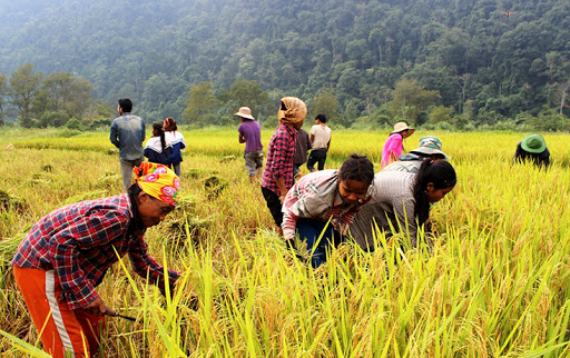 Việt Nam- quốc gia duy nhất ở châu Á thực hiện chương trình giảm nghèo đa chiều, bao trùm, bền vững (21/1/2024)