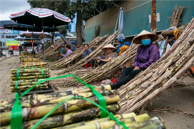 Về nơi mía ngọt lời then (25/1/2024)