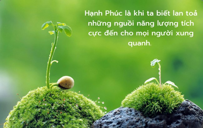 Thông điệp Năm mới 2024 của các nhà lãnh đạo thế giới lan tỏa năng lượng tích cực đến người dân (1/1/2024)