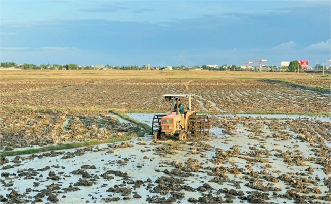 Bản tin Dự báo nguồn nước và xây dựng kế hoạch sử dụng nước cho sản xuất nông nghiệp vùng Nam Trung Bộ vụ Hè thu năm 2024 