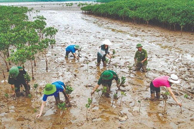 Vững vàng trước thiên tai: Cùng nông dân gieo mầm (9/10/2024)