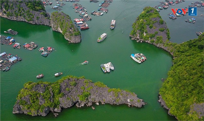 Hải Phòng: Thành lập Ban chỉ đạo Quản lý Di sản thiên nhiên thế giới vịnh Hạ Long – quần đảo Cát Bà (22/10/2024)