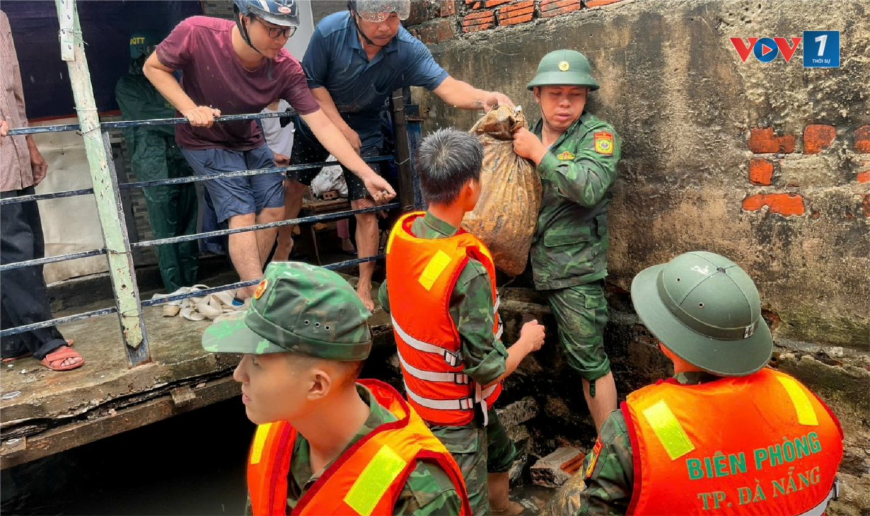 Hơn 1100 phương tiện neo đậu tránh bão số 6 tại âu thuyền Thọ Quang, Đà Nẵng (26/10/2024)