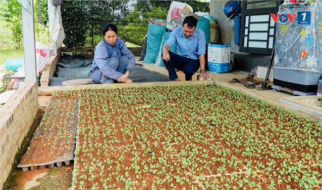Lào Cai: Dồn lực hoàn thành mục tiêu năm ở mức cao nhất (16/10/2024)