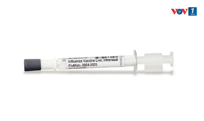 Nhật Bản bắt đầu triển khai sử dụng vắc xin cúm dạng xịt mũi cho trẻ em (12/10/2024)