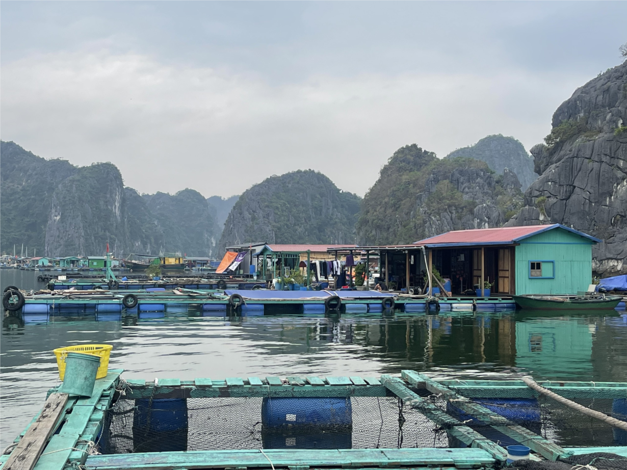 Hải Phòng: Hỗ trợ người dân phục hồi nuôi trồng thuỷ sản sau bão số 3 (3/10/2024)