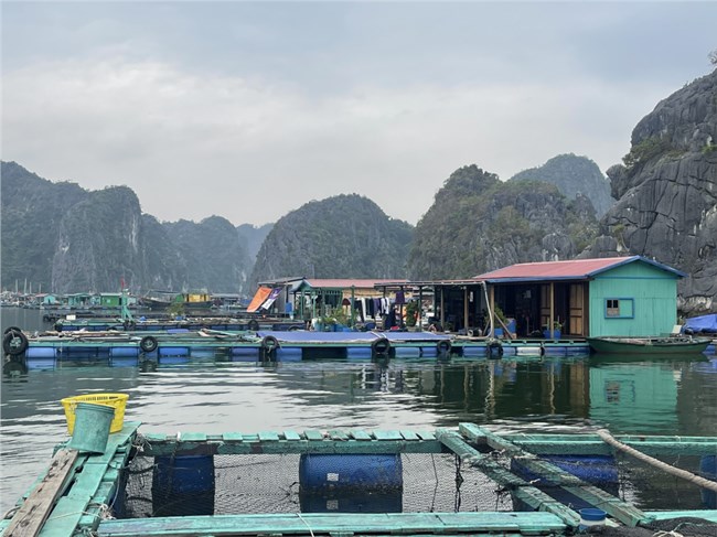 Hải Phòng: Hỗ trợ người dân phục hồi nuôi trồng thuỷ sản sau bão số 3 (3/10/2024)