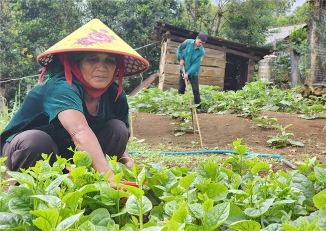 Dấu ấn từ cuộc vận động thay nếp nghĩ, đổi cách làm ở vùng dân tộc thiểu số Kon Tum (28/10/2024)