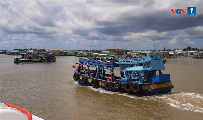 Cà Mau: Quản lý tàu cá hiệu quả hơn nhờ phần mềm (29/10/2024)