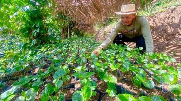 Nông dân Columbia chuyển từ trồng coca bất hợp  pháp sang  du lịch sinh thái (24/10/2024)