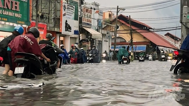 Hướng xử lý Dự án chống ngập ở TP Hồ Chí Minh (15/11/2024)