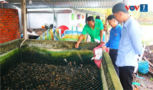 Thanh niên Khmer khởi nghiệp, xây dựng được mô hình kinh tế hiệu quả (08/11/2024)