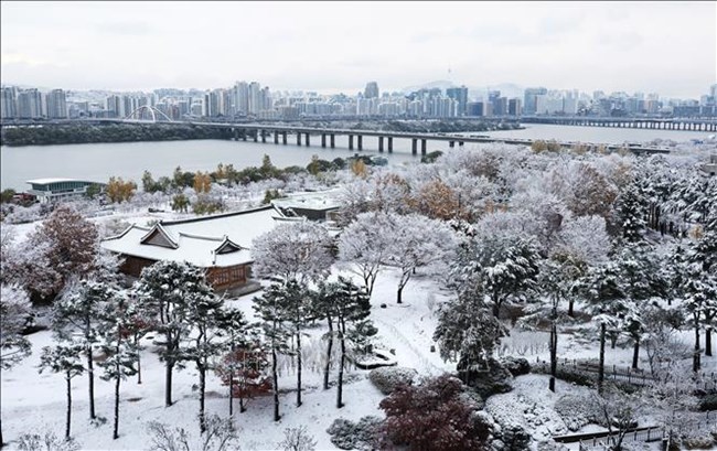 Seoul, Hàn Quốc: Bão tuyết tồi tệ nhất trong hơn nửa thế kỉ (27/11/2024)