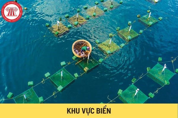 Tháo gỡ khó khăn trong việc giao khu vực biển (06/11/2024)