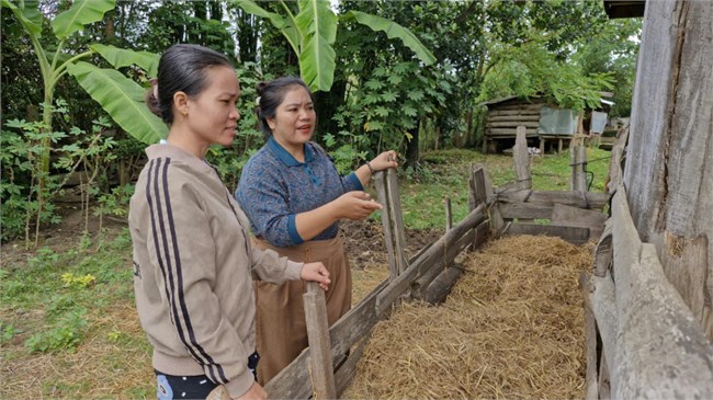 Cán bộ hội phụ nữ tận tâm với công tác giảm nghèo (12/11/2024)