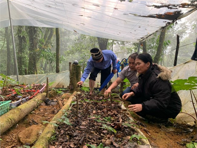 Luật Đất đai 2024 tạo cơ sở pháp lý phát triển kinh tế dưới tán rừng Tây Nguyên (12/11/2024)