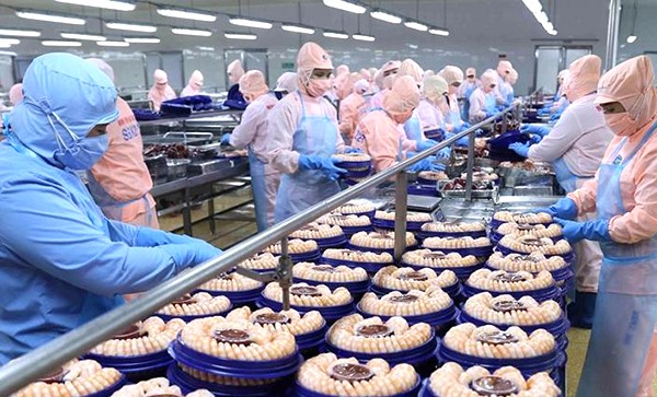 Xuất khẩu thủy sản trên đà phục hồi hướng đến mục tiêu 10 tỷ đô la Mỹ (10/11/2024)