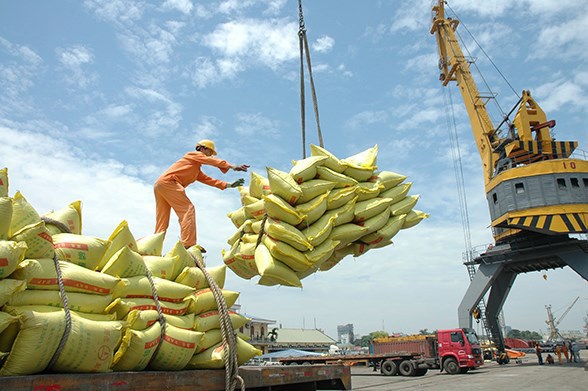 THỜI SỰ 21H30 ĐÊM 25/11/2024: Giá gạo nước ta đang ở mức cao nhất thế giới, đạt hơn 520 USD/tấn