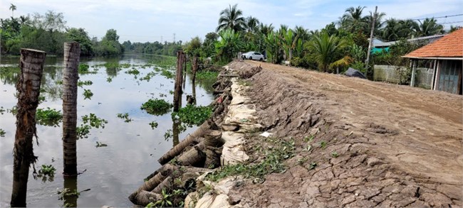 Tiền Giang: Nỗ lực phòng chống sạt lở bờ sông Phú An (28/11/2024)