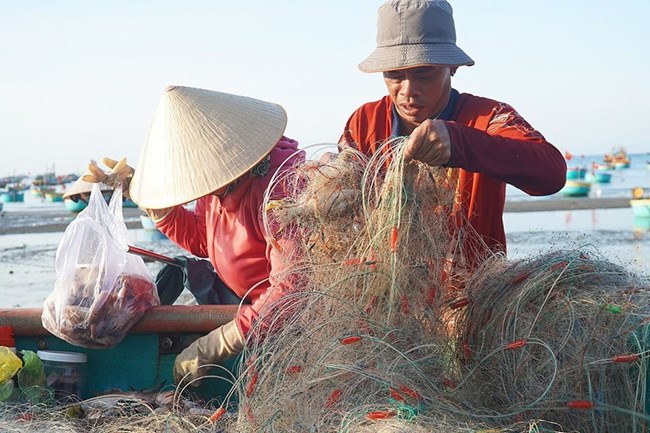 Sinh kế cho ngư dân chuyển đổi nghề (18/12/2024)
