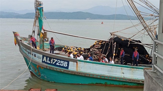 Myanmar thả ngư dân Thái Lan, tịch thu tàu cá (06/12/2024)