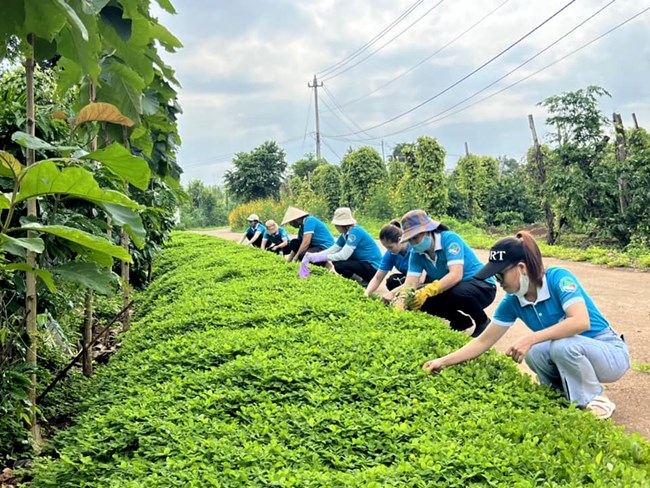 Phụ nữ Đắk Lắk góp sức xây dựng nông thôn mới từ mô hình “3 sạch” (13/12/2024)