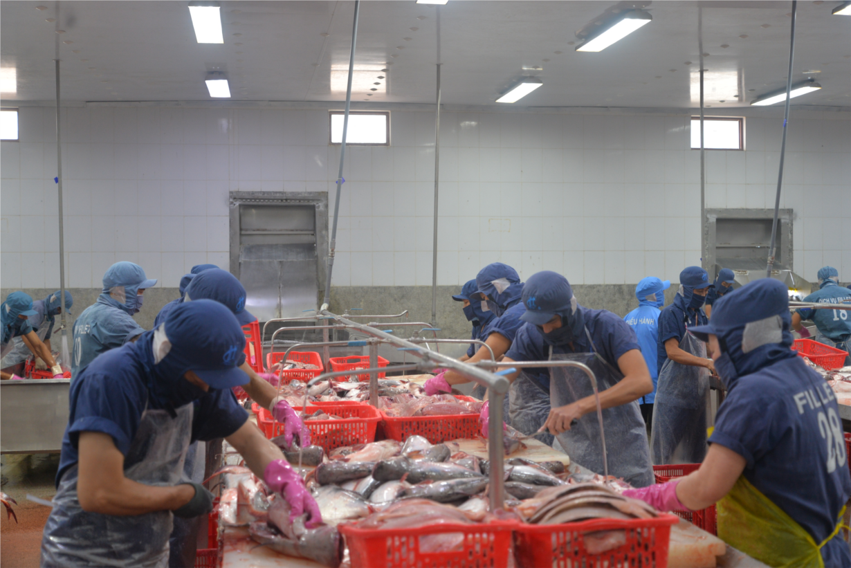 Nhiều cơ hội cho thủy sản Việt Nam tại thị trường Halal (13/12/2024)