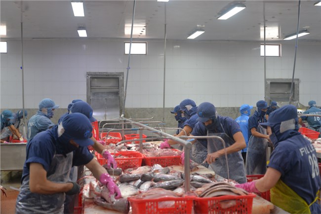 Nhiều cơ hội cho thủy sản Việt Nam tại thị trường Halal (13/12/2024)