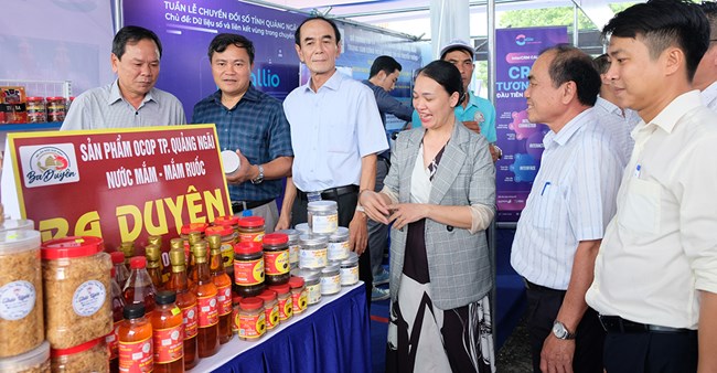 Quảng Ngãi: Nâng cao chất lượng, hiệu quả hoạt động của các HTX (04/12/2024)