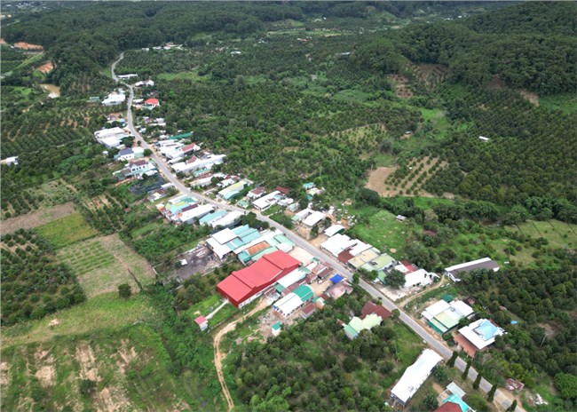 “Cánh tay” nối dài kéo giảm tảo hôn ở miền núi tỉnh Khánh Hòa (04/12/2024)