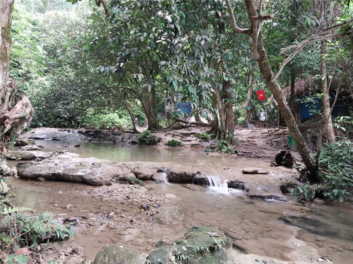Thái Nguyên: Phát triển rừng bền vững theo chứng chỉ FSC (13/2/2024)