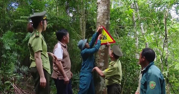 Phòng cháy giữ rừng trên vùng cao Sơn La (22/02/2024)