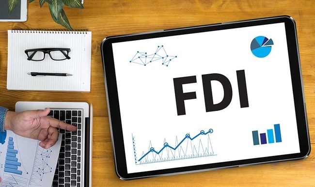 Tiềm năng và điểm nghẽn dòng vốn FDI - Góc nhìn nhà đầu tư, chuyên gia (25/2/2024)