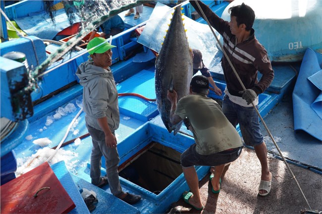 Kết nối phát huy tiềm năng của 3 tỉnh Phú Yên, Khánh Hòa và Ninh Thuận (27/2/2024)