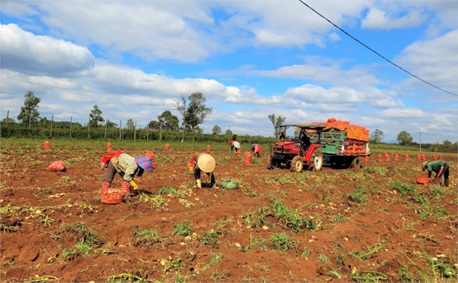Hợp tác công tư (PPP): xây dựng vùng nguyên liệu nông sản bền vững (27/2/2024)