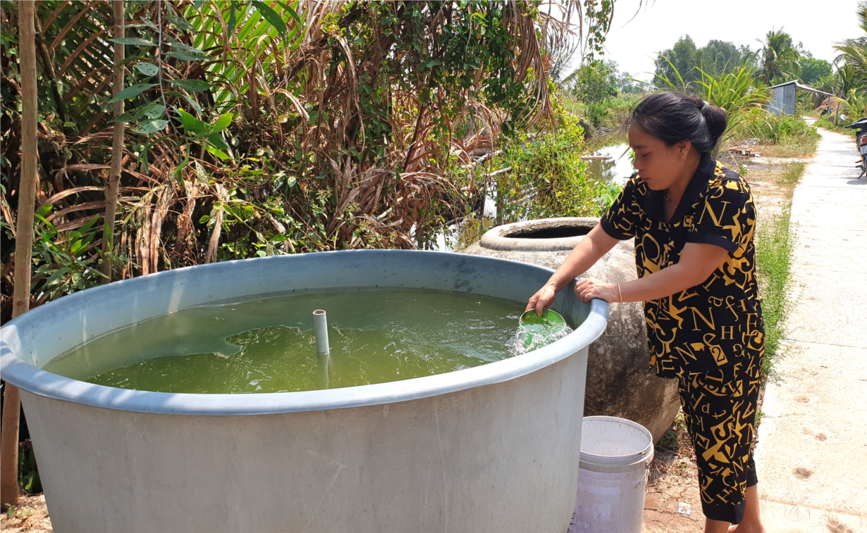 Cà Mau: Người dân lấy nước mặn rửa chén, mua nước khối nấu cơm (26/3/2024)