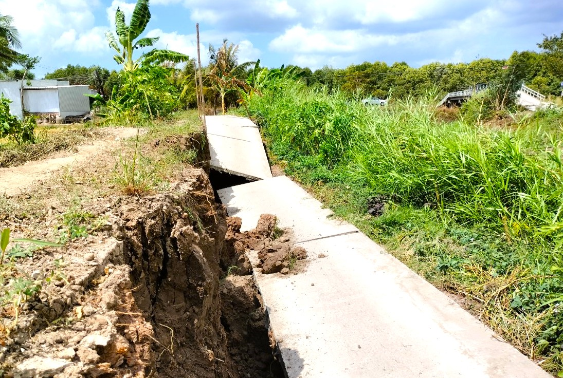 Cà Mau: Cần giải pháp căn cơ cho vấn đề sụt lún, sạt lở mùa khô (1/3/2024)