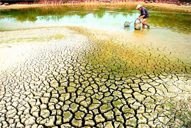 Đồng bằng sông Cửu Long: cao điểm mặn
xâm nhập trong tháng 3 (02/3/2024)