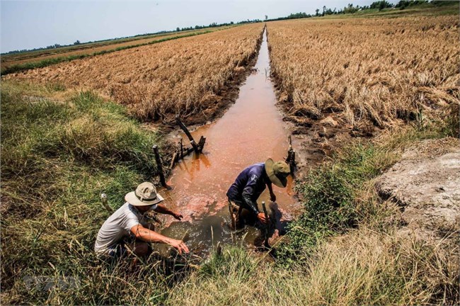 THỜI SỰ 12H TRƯA 02/3/2024: Mặn xâm nhập tại khu vực miền Trung và các tỉnh Nam Bộ tiếp tục gia tăng, ảnh hưởng tới sinh hoạt và sản xuất cây trồng của người dân