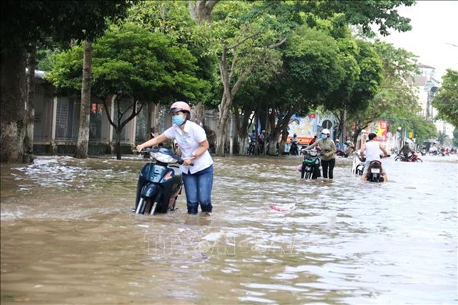 THỜI SỰ 12H TRƯA 11/3/2024: Cao điểm triều cường nước mặn tại Tiền Giang, đỉnh triều ở mức cao khiến các khu vực bị ngập nước có nguy cơ bị thiệt hại nặng