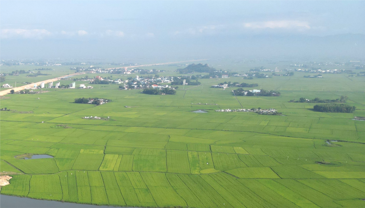 Hơn 1000 hécta ở Bình Định nguy cơ thiếu nước vụ hè thu (08/3/2024)