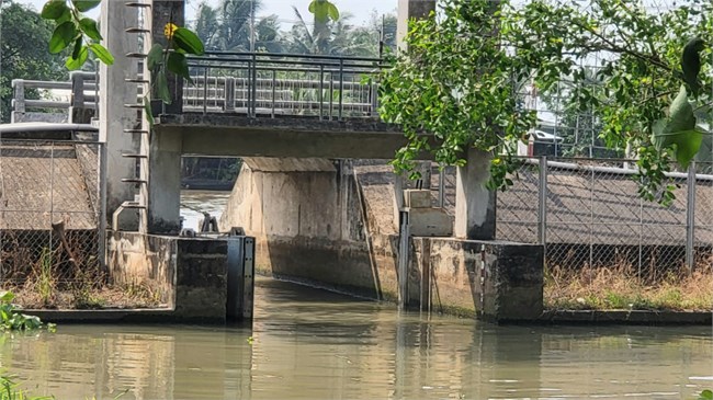 Hậu Giang: Chủ động ứng phó với hạn, mặn xâm nhập trong mùa khô  này (09/3/2024)