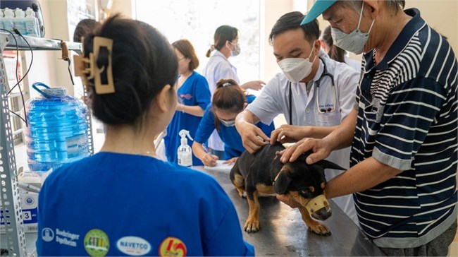 Long An phát động 8 ngày cao điểm tiêm phòng dại cho chó mèo tại ổ dịch biên giới (20/4/2024)