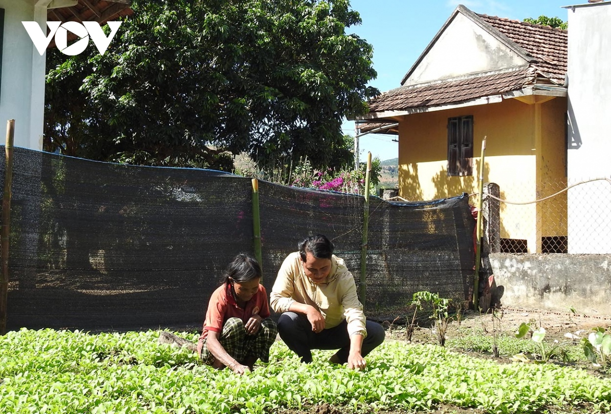 Phát huy vai trò của Bí thư Chi bộ trong xây dựng nông thôn mới ở vùng dân tộc thiểu số tỉnh Kon Tum (23/4/2024)