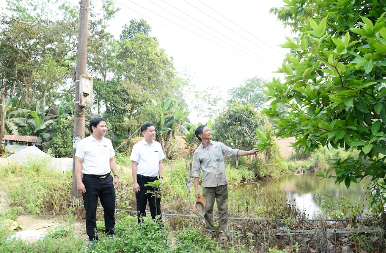  Người dân miền núi Quảng Nam đổi đời nhờ vốn vay phát triển sản xuất (22/4/2024)