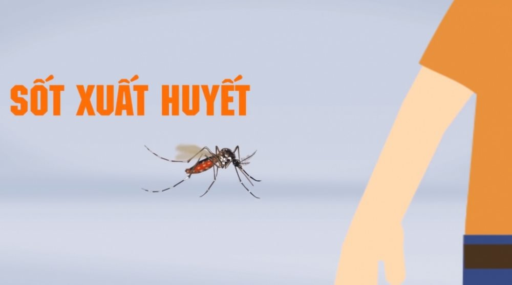 TP.HCM cảnh báo sốt xuất huyết vào mùa (25/5/2024) 