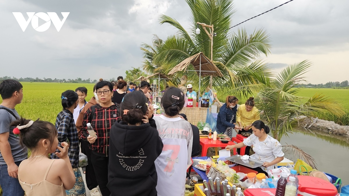 Chợ trên cánh đồng lúa- nét mới của Hợp tác xã Đồng Tháp (13/5/2024)