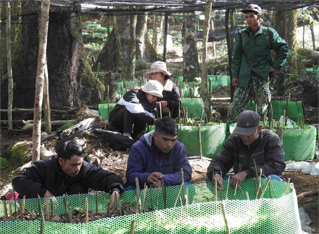 Kon Tum phát triển hàng trăm mô hình làm thay đổi nếp nghĩ, cách làm của đồng bào dân tộc thiểu số (03/5/2024)