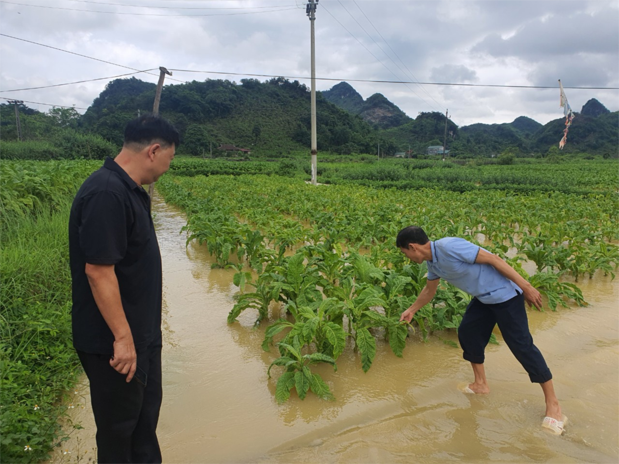 Lạng Sơn: Mưa lớn gây ảnh hưởng giao thông, thiệt hại 
hoa màu (09/5/2024)